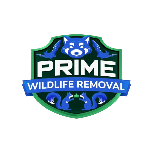 Animal Removal Vergennes Township